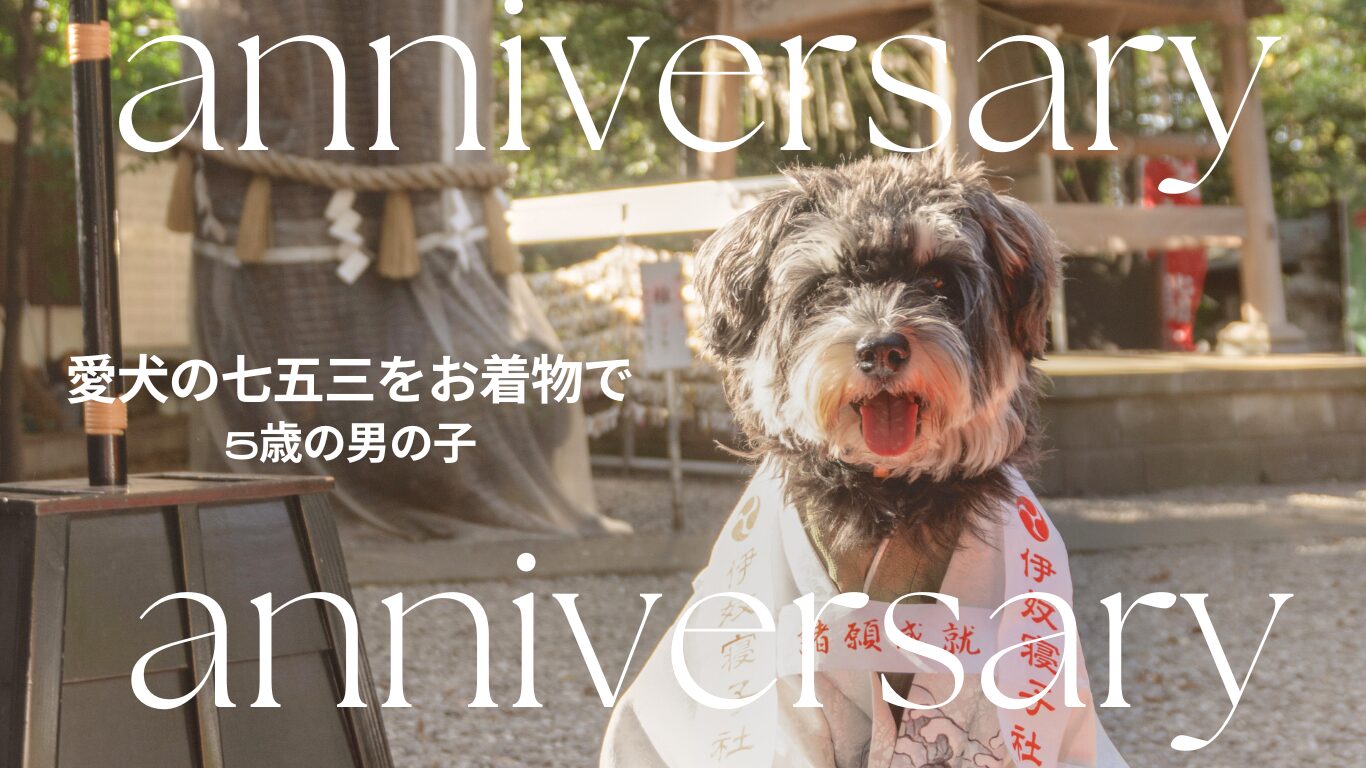 27e28c8487e6268f85b5a4a4f2d76c